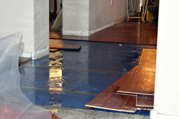 Professional Sewage Cleanup technician working in Bouton, IA